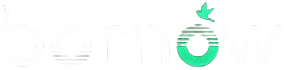 Bornow logo